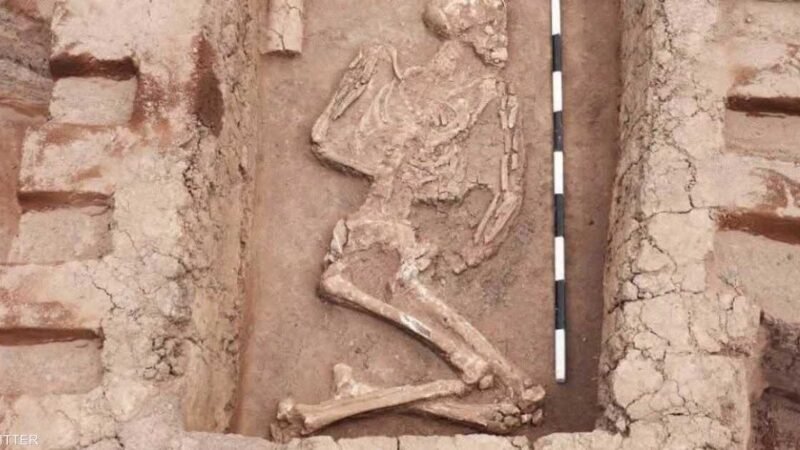 Archaeologists Uncover Ancient Necropolis and Settlement in Nile Delta