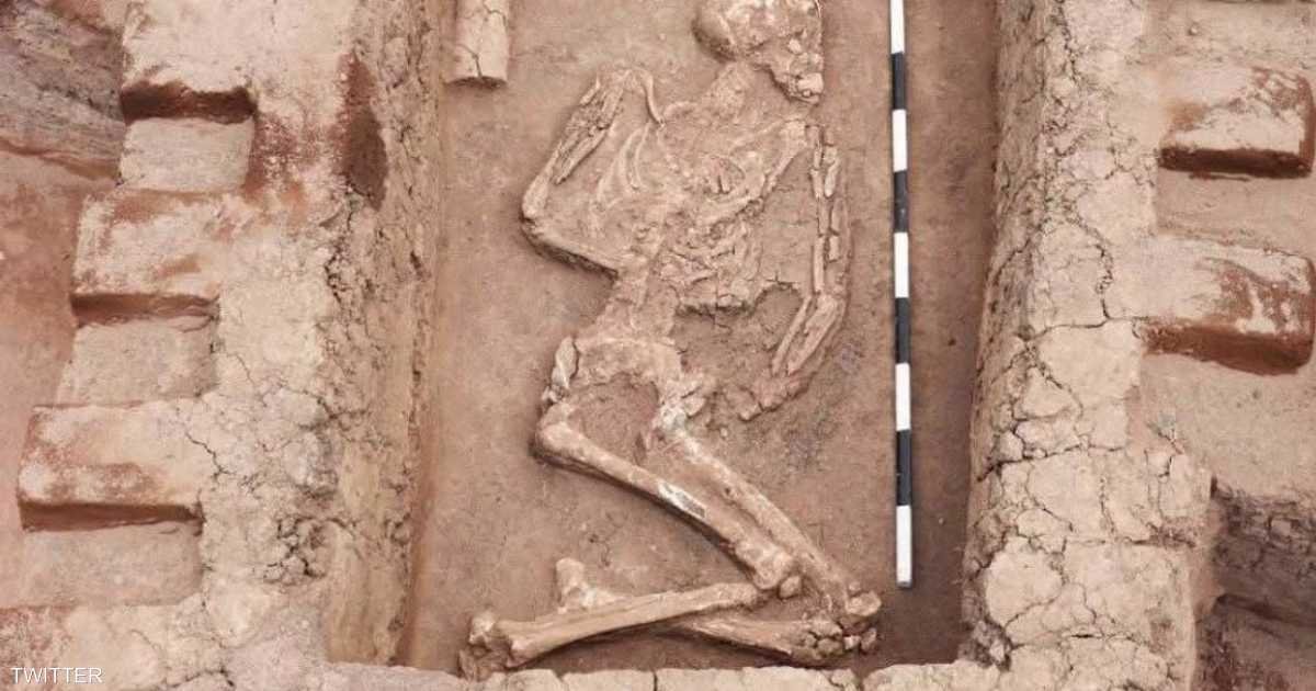 Archaeologists Uncover Ancient Necropolis and Settlement in Nile Delta