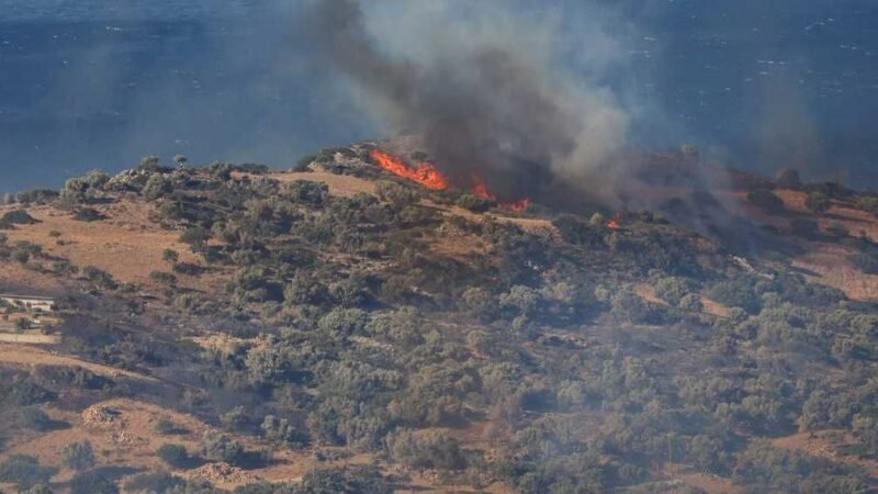Israeli National Arrested in Greece Over Forest Fire