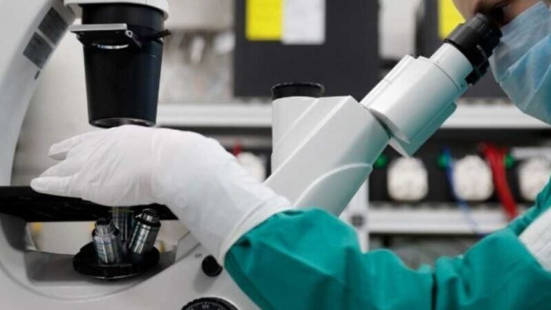 Egypt Tightens Regulations on Stem Cell Therapies
