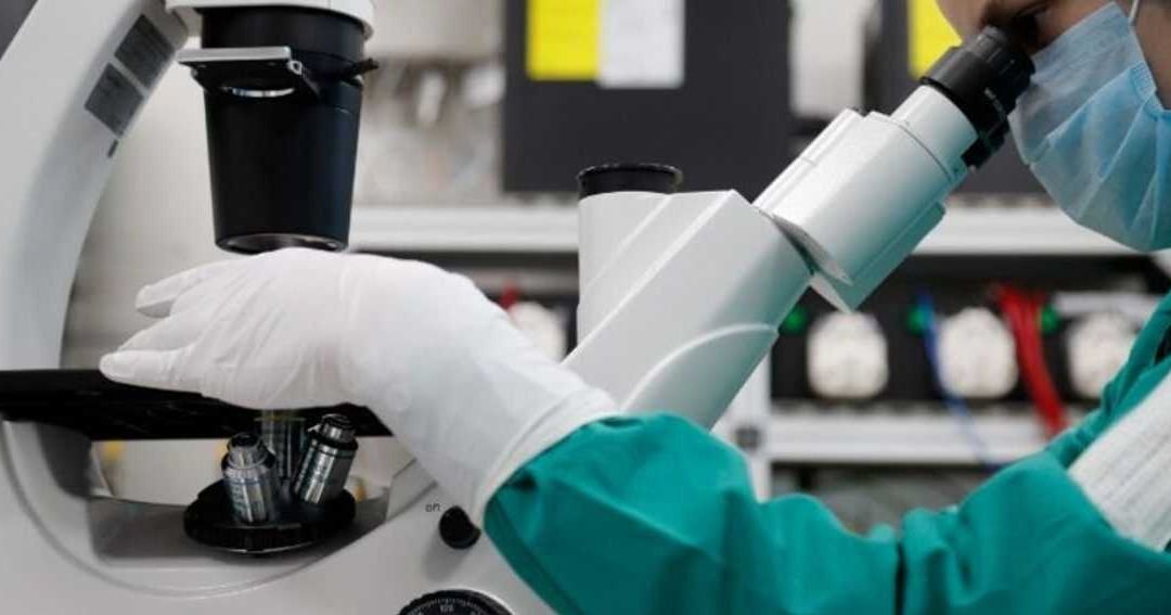 Egypt Tightens Regulations on Stem Cell Therapies