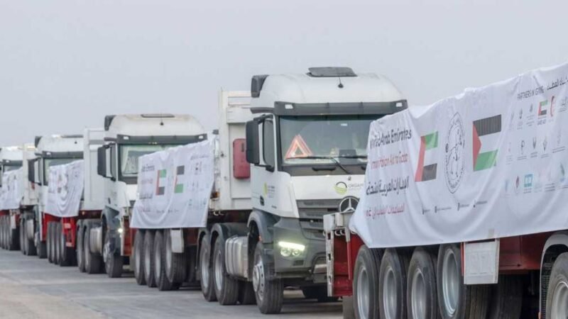 UAE Delivers 800 Tons of Aid to Gaza in Latest Humanitarian Push