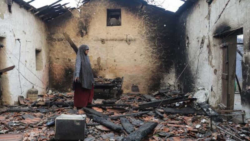Algeria Faces Mounting Tragedy After Devastating Forest Fires in Jijel
