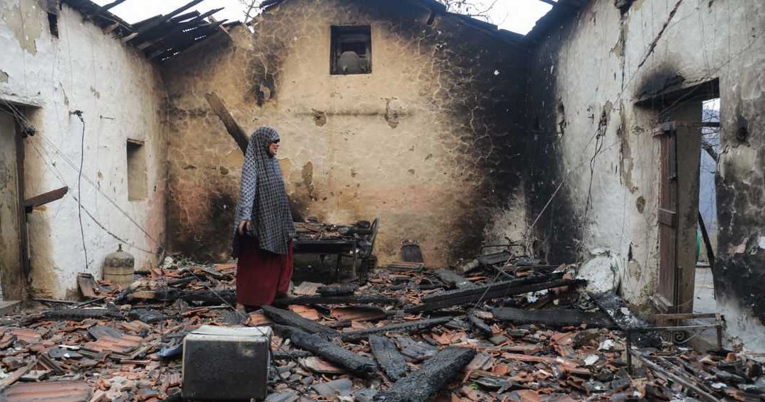 Algeria Faces Mounting Tragedy After Devastating Forest Fires in Jijel