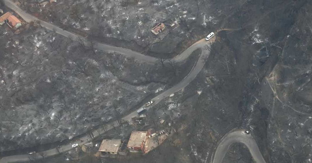 Aerial Imagery Reveals Devastation in Algeria’s Jijel Province