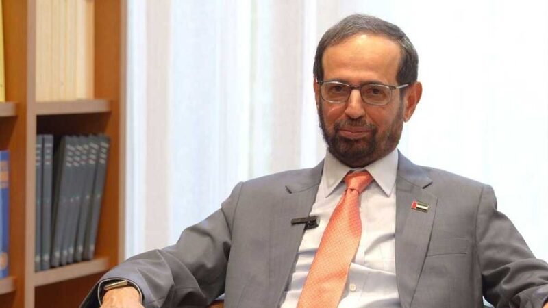 UAE Official Criticizes Gulf Response to Iranian Attacks