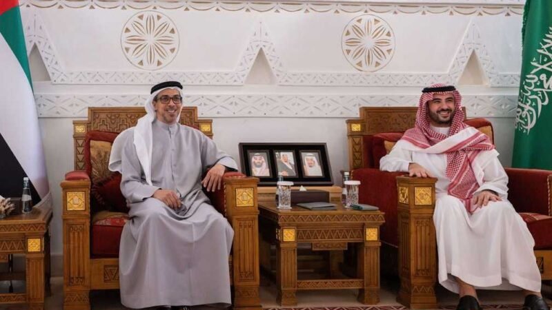 Sheikh Mansour and Prince Khalid bin Salman Meet in Riyadh
