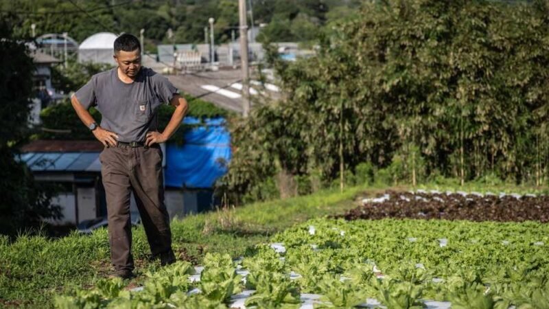 Strait of Hormuz Closure Triggers Fertilizer Price Hikes in Japan