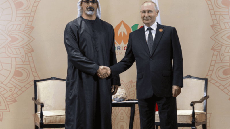 Abu Dhabi Crown Prince Meets Russian President at BRICS Summit
