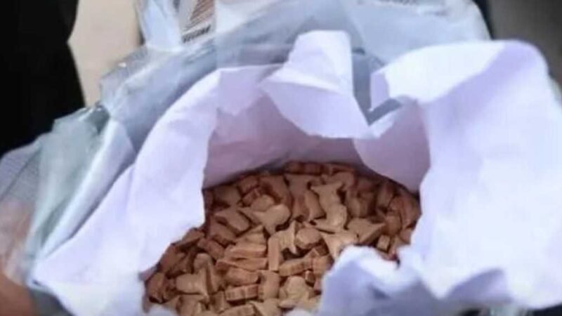 Libyan Authorities Seize 100,000 Pills Featuring Gadaffi’s Likeness
