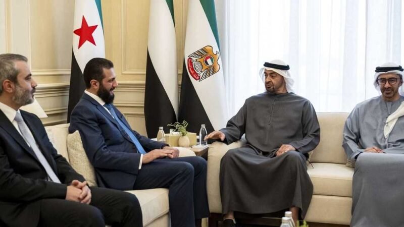 UAE President and Syrian President Discuss Bilateral Ties