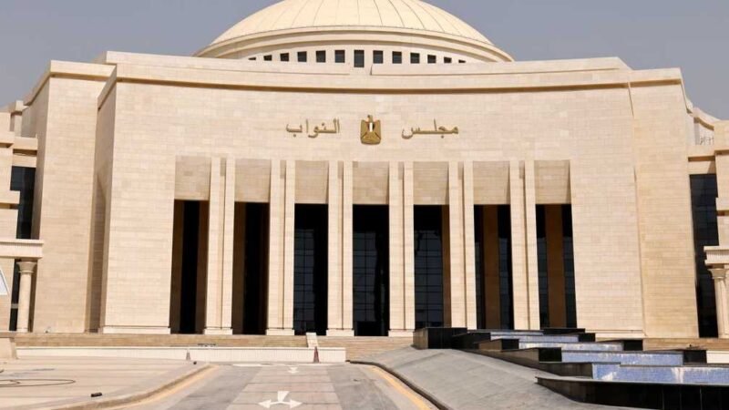 Egyptian Parliament Convenes Emergency Session to Discuss Saudi Support