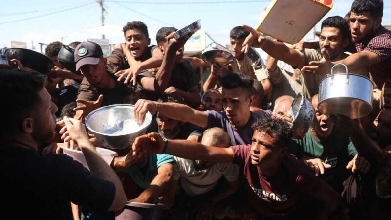 WFP Cuts Aid to Half a Million Gazans Amid Funding Shortfall