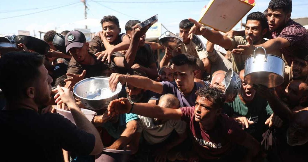 WFP Cuts Aid to Half a Million Gazans Amid Funding Shortfall