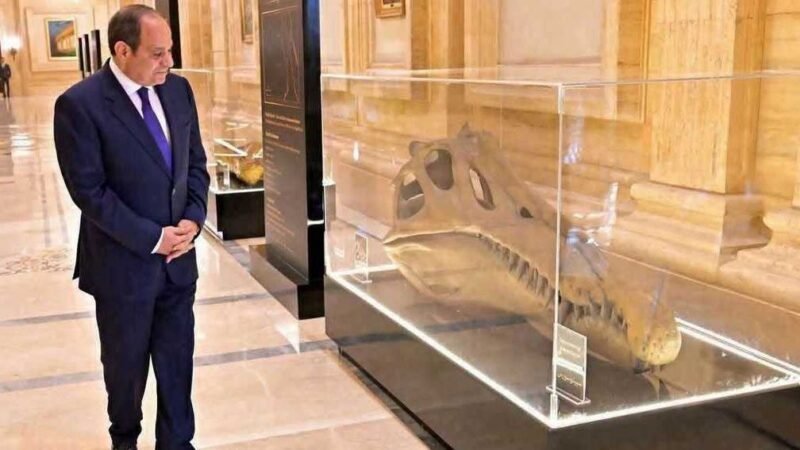 Sisi Spotlights Rare Fossil at Egypt Mining Forum