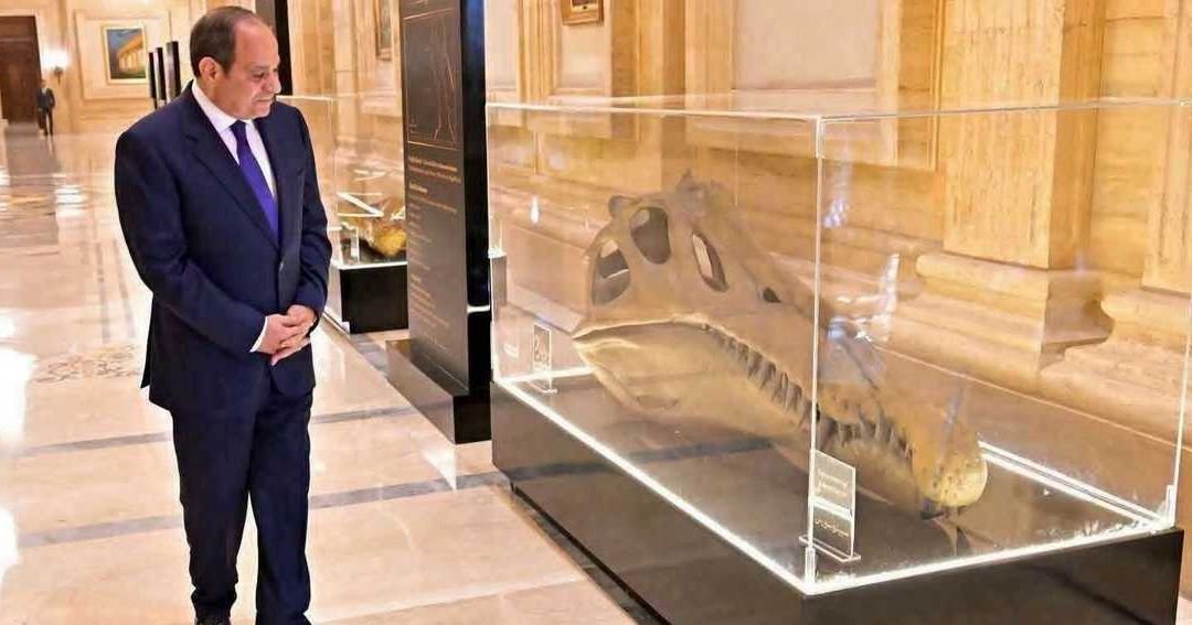 Sisi Spotlights Rare Fossil at Egypt Mining Forum