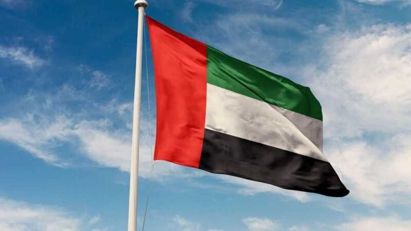 UAE Condemns Houthi Attack on King Fahd International Airport