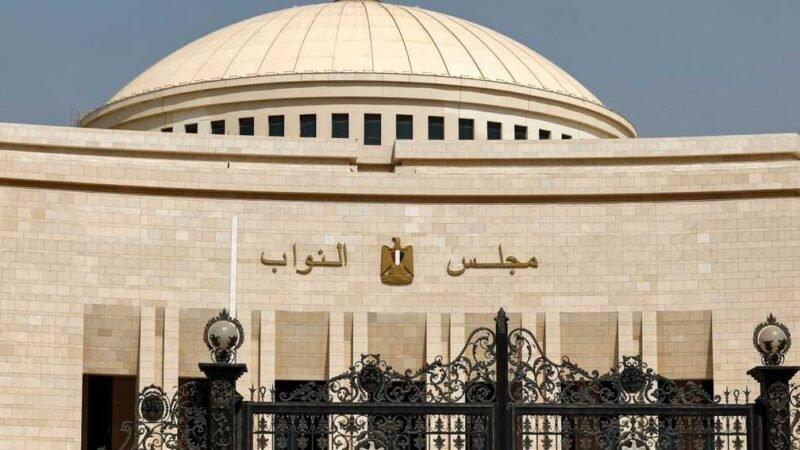 Egypt Parliament Authorizes Military Support for Saudi Arabia