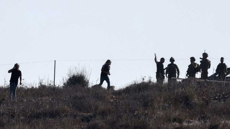 West Bank Olive Harvest Disrupted by Settler Attacks