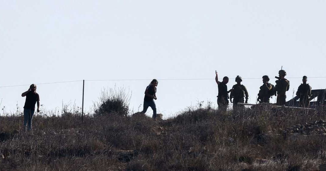 West Bank Olive Harvest Disrupted by Settler Attacks