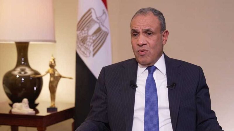Egypt Foreign Minister: Military Solutions Cannot End Regional Crises