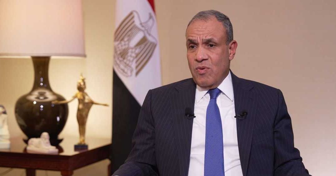 Egypt Foreign Minister: Military Solutions Cannot End Regional Crises